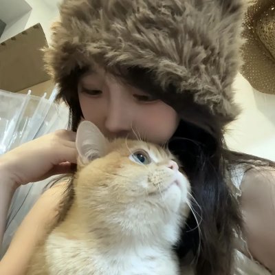 猫王艾维斯